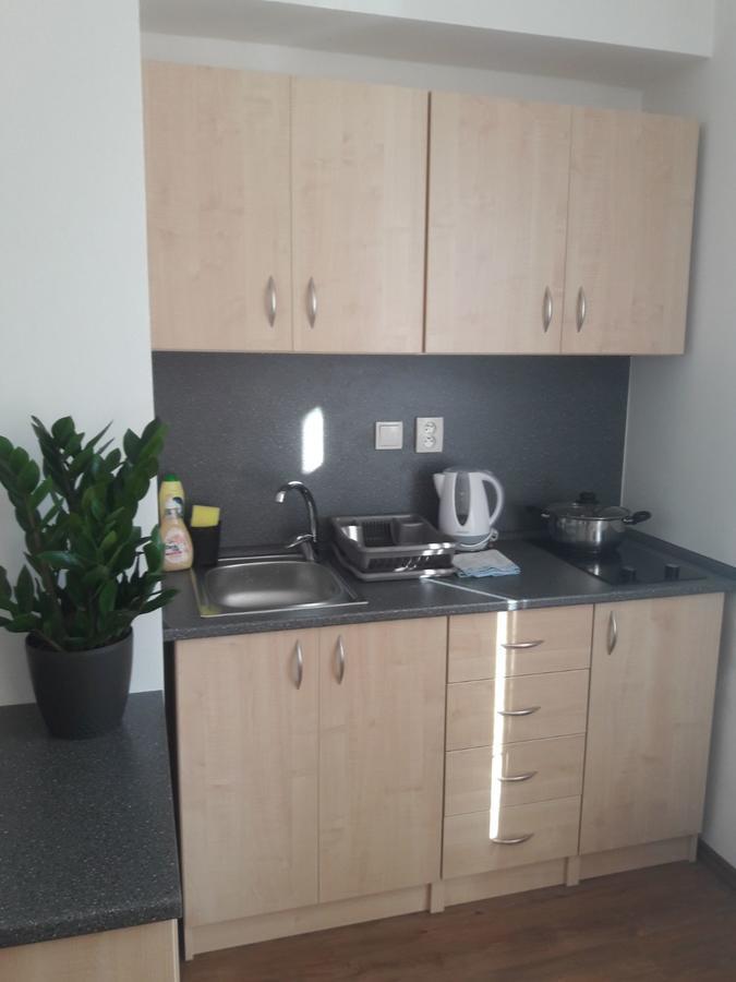 Apartmany Lipa Tábor Buitenkant foto