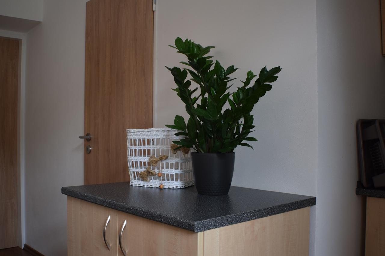 Apartmany Lipa Tábor Buitenkant foto